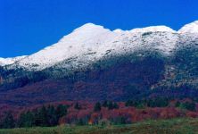 da col indes cansiglio autunno monte cavallo.jpg